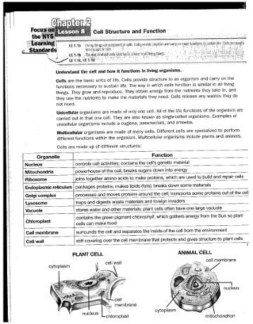 forensic science module 11 review Module 5 review questions forensic science essay module 8 review questions essay 1971 words | 8 pages as an assorted list of non-alcoholic beverages cocktails . forensic science module 11 review Module 5 review questions forensic science essay module 8 review questions essay 1971 words | 8 pages as an assorted list of non-alcoholic beverages cocktails .