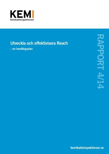 Rapport-4-14-Reachuppdraget