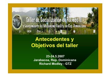 Antecedentes y Objetivos del taller - CEDAF