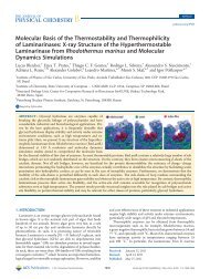 Molecular Basis of the Thermostability and ... - Leandro MartÃ­nez