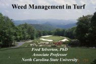 Tall Fescue - TurfFiles - North Carolina State University