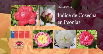 Indice de cosecha en peonias - Platina - INIA