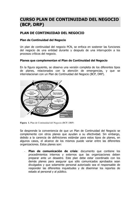 CURSO PLAN DE CONTINUIDAD DEL NEGOCIO (BCP, DRP)