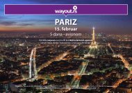 PARIZ 15. februar - Wayout