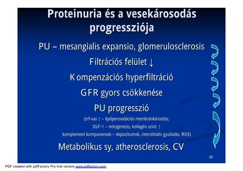 A vesebetegségek laboratóriumi diagnosztikája