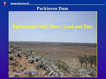 Epithermal Gold, Silver, Lead and Zinc Parkinson Dam - SA Explorers