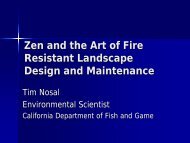 Zen and the Art of Fire Resistant Landscape Design and Maintenance