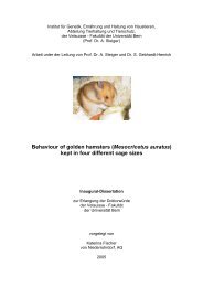 Behaviour of golden hamsters (Mesocricetus auratus) - Vetsuisse ...