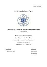 Politechnika Poznańska - tomasz strek home page