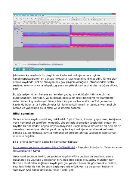 Guarded Risk  - Joshua Marpet - Audio Forensic Report (Turkish translation)