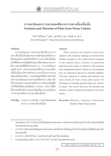 Variation and Mutation of Plant from Tissue Culture - à¸§à¸²à¸£à¸ªà¸²à¸£à¸§à¸´à¸à¸²à¸à¸²à¸£ ...