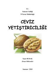 CEVÄ°Z YETÄ°ÅTÄ°RÄ°CÄ°LÄ°ÄÄ° - Samsun TarÄ±m Ä°l MÃ¼dÃ¼rlÃ¼ÄÃ¼