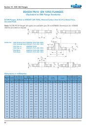 Section 10 : DIN / BS Flanges