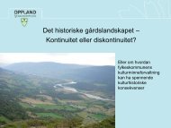 det historiske gardslandskapet, v/ Lars PilÃ¸ - Maihaugen