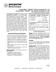 Protocol for TransforMax™ EPI300™ Electrocompetent E. coli and ...