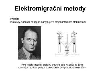 Elektromigrační metody na nosičích