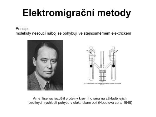 Elektromigrační metody na nosičích