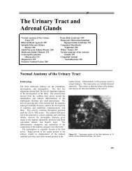 The Urinary Tract and Adrenal Glands - SonoWorld