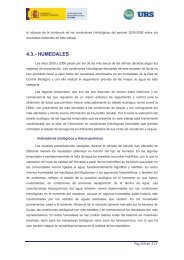 CONCLUSIONES HUMEDALES