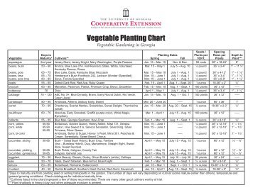 Vegetable Planting Chart Georgia