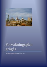 Forvaltningsplan grÃ¥gÃ¥s - Bamble kommune