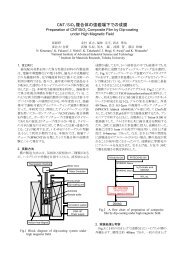 CNT/SiO2 è¤åä½ã®å¼·ç£å ´ä¸ã§ã®æè