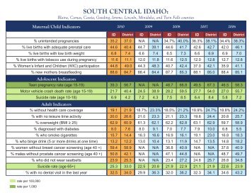 Community Health Indicators Report Card 2010 - South Central ...