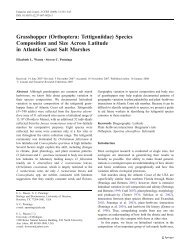 (Orthoptera: Tettigoniidae) Species Composition and Size Across ...