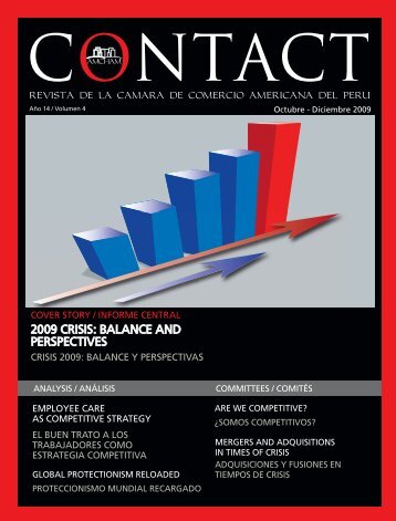 2009 CRISIS: BALANCE AND PERSPECTIVES - Consultores Online