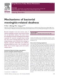 Mechanisms of bacterial meningitis-related deafness