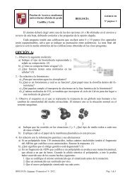 Examen PAU _4_ 2011-12