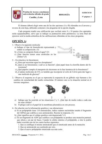 Examen PAU _4_ 2011-12