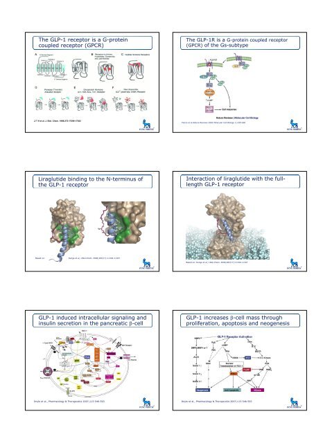 Glucagon-Like Peptide-1 (GLP-1)