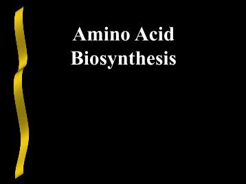 Nitrogen Acquisition and Amino Acid Biosynthesis - Ecu