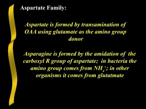 Nitrogen Acquisition and Amino Acid Biosynthesis - Ecu