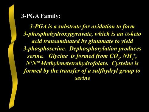 Nitrogen Acquisition and Amino Acid Biosynthesis - Ecu