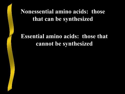 Nitrogen Acquisition and Amino Acid Biosynthesis - Ecu