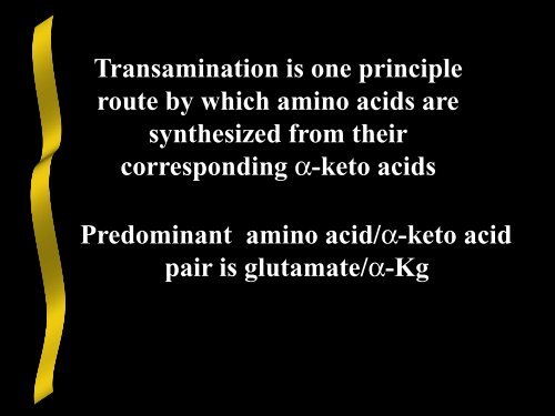 Nitrogen Acquisition and Amino Acid Biosynthesis - Ecu