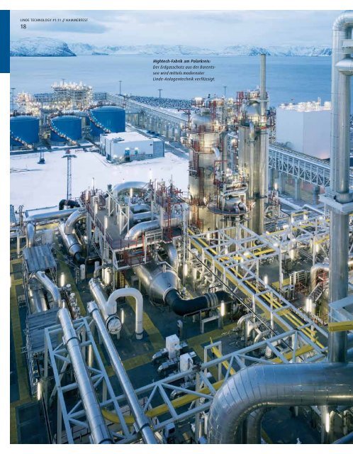 PDF-Download - The Linde Group