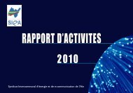 Rapport d'activitÃ©s 2010 - SIEA