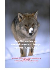 Genetisk analyse av ulveekskrementer i Norge vinteren 2005/2006
