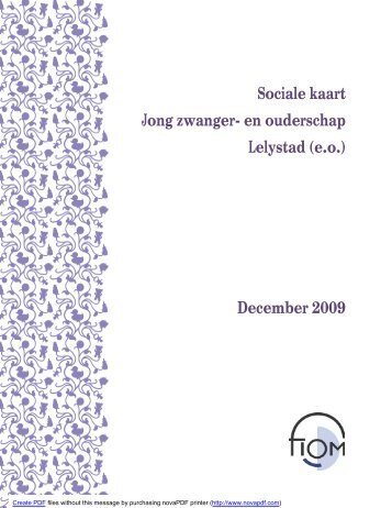 Sociale kaart Jong zwanger- en ouderschap Lelystad (e.o. ...