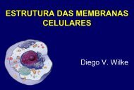 Membranas Celulares