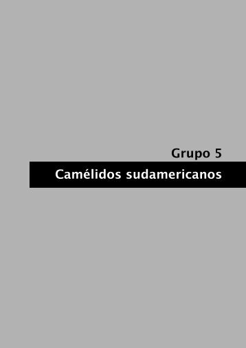 Camélidos suramericanos - ALPA: Asociación Latinoamericana de ...