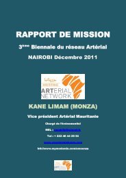 RAPPORT DE MISSION - Arterial Network