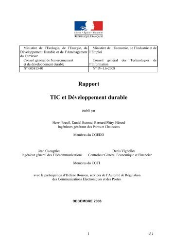 Rapport TIC et DÃ©veloppement durable - Handiplace