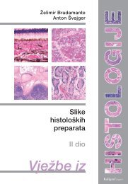 histoloski atlas 2. dio - Medicinski fakultet Rijeka