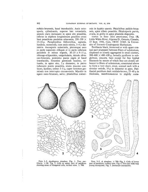 Apodospora, a new genus of the Sordariaceael - ASCOfrance