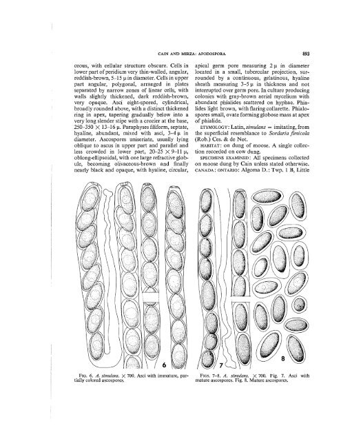 Apodospora, a new genus of the Sordariaceael - ASCOfrance