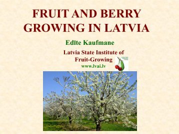 Stone fruit production in Latvia - Cost 873